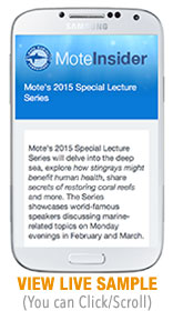 Mote Lecture Preview